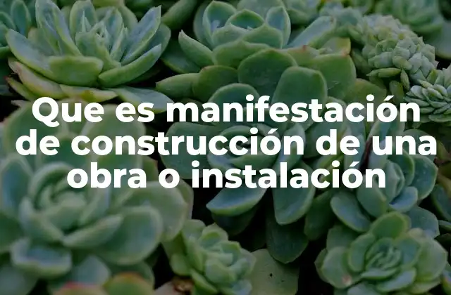 Que es Manifestación de Construcción de una Obra o Instalación
