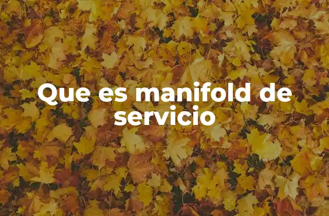 Componentes y características de los manifolds de servicio