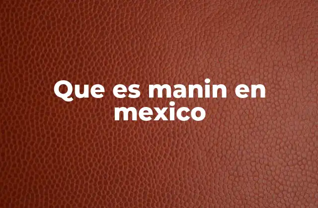 Que es Manin en Mexico
