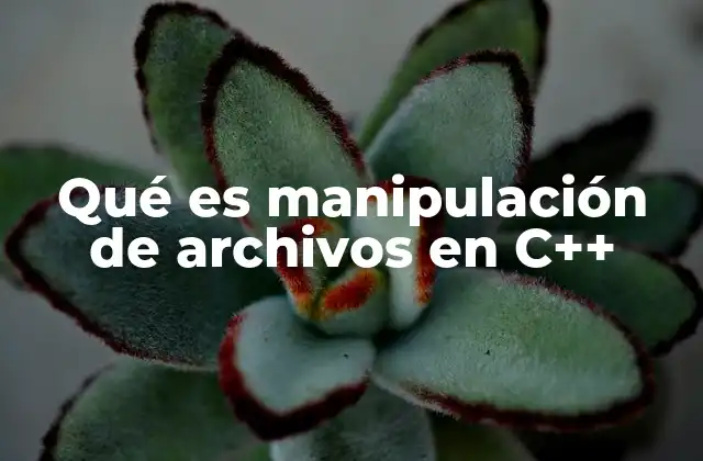 Qué es Manipulación de Archivos en C++ 2 Cómo C++ permite la interacción con archivos externos
