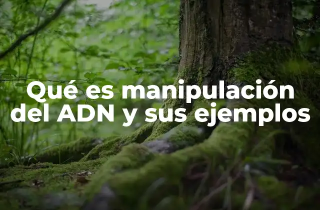 Qué es Manipulación Del Adn y Sus Ejemplos
