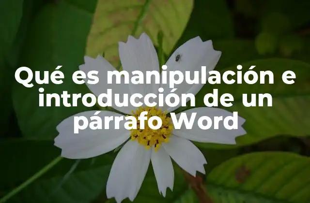 Qué es Manipulación e Introducción de un Párrafo Word
