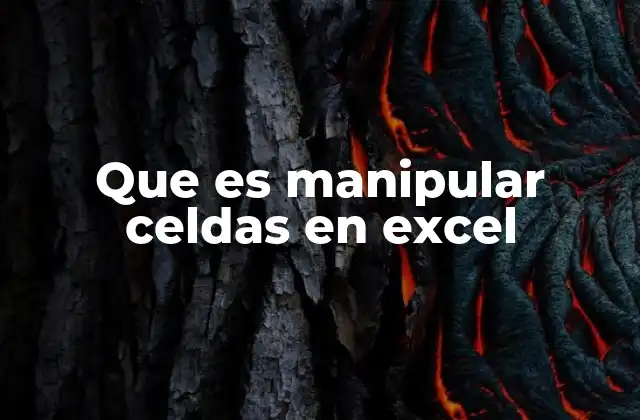 Que es Manipular Celdas en Excel