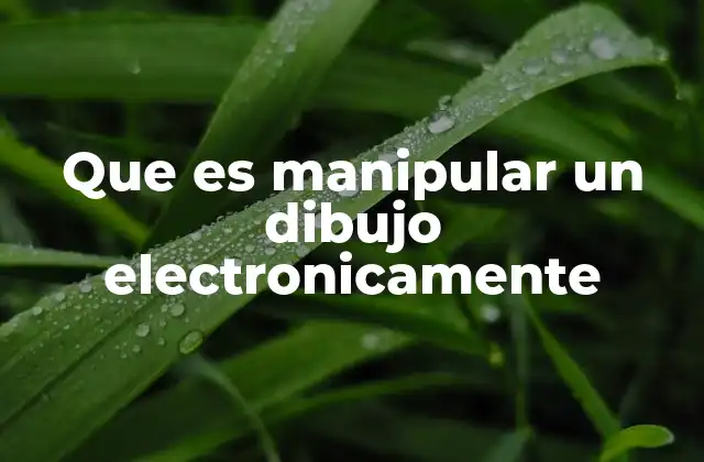 Que es Manipular un Dibujo Electronicamente 2 Cómo se puede transformar una imagen digital sin usar palabras técnicas