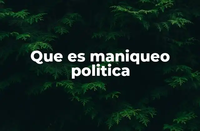 Que es Maniqueo Politica