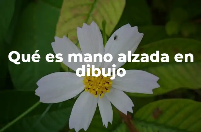 Qué es Mano Alzada en Dibujo