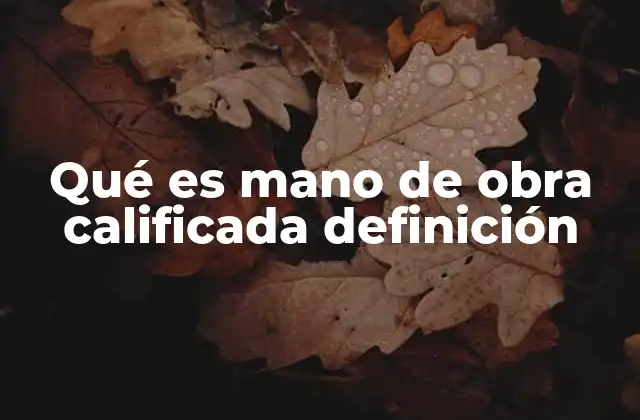 Qué es Mano de Obra Calificada Definición
