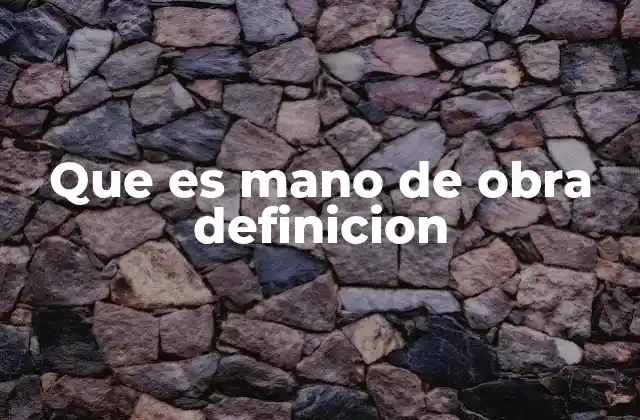 Que es Mano de Obra Definicion