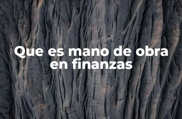 Que es Mano de Obra en Finanzas