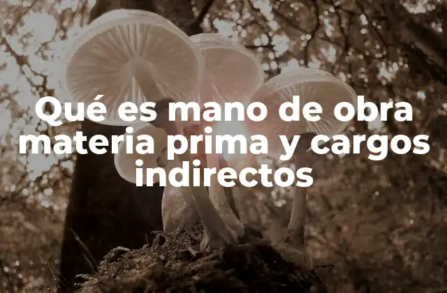 Qué es Mano de Obra Materia Prima y Cargos Indirectos 2 La importancia de los componentes del costo de producción