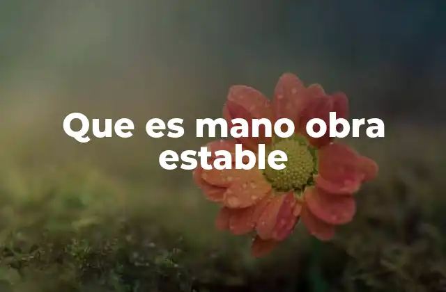 Que es Mano Obra Estable