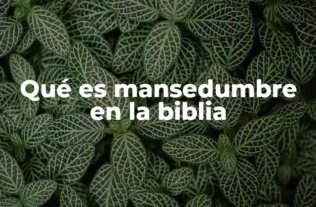 La mansedumbre como actitud espiritual en la vida cristiana