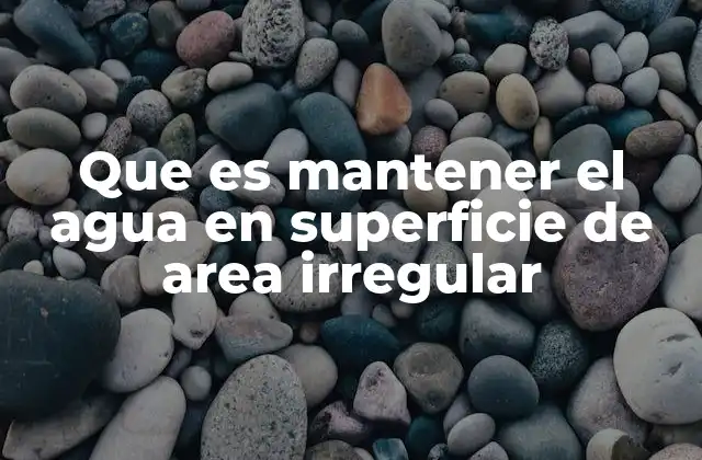 Que es Mantener el Agua en Superficie de Area Irregular