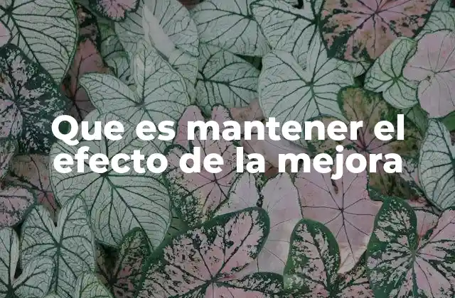 Que es Mantener el Efecto de la Mejora 2 La importancia de la continuidad en los procesos de mejora