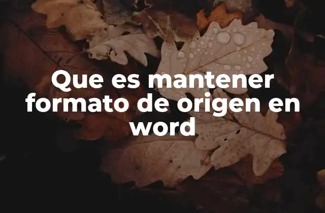 Que es Mantener Formato de Origen en Word