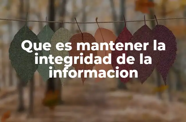 Que es Mantener la Integridad de la Informacion