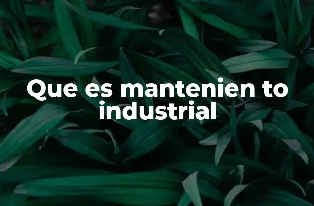 Que es Mantenien To Industrial