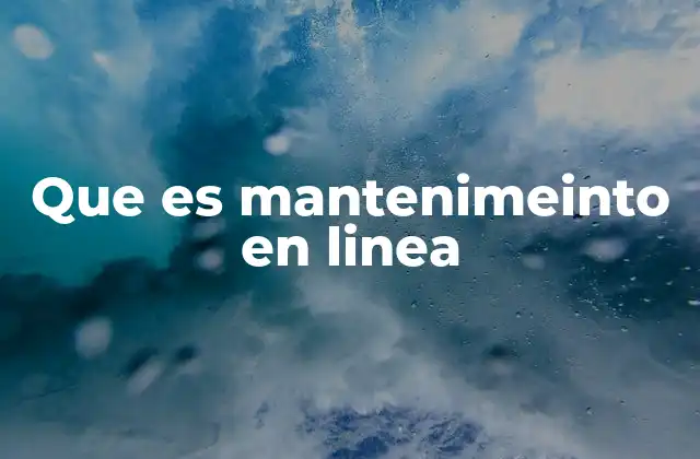 Que es Mantenimeinto en Linea