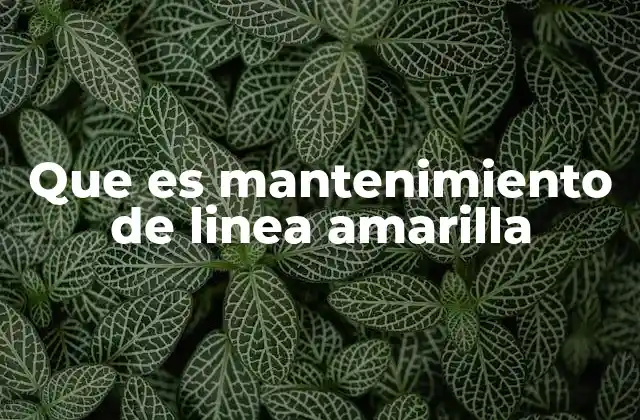 Que es Mantenimiento de Linea Amarilla 2 La importancia del cuidado de las unidades en el transporte público