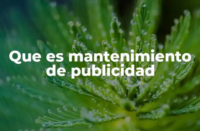 Que es Mantenimiento de Publicidad