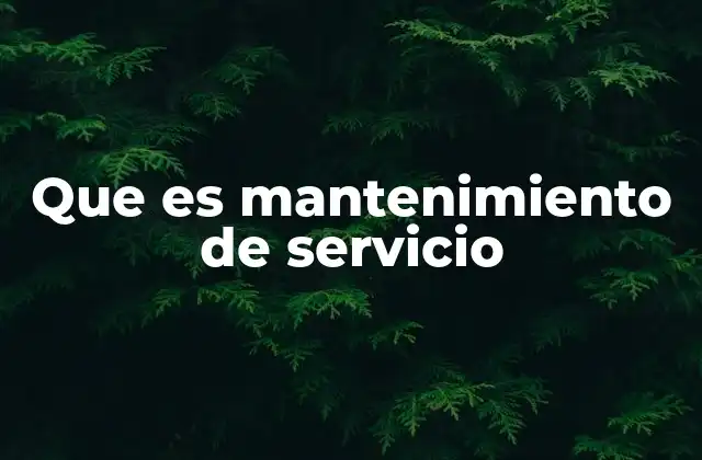 Que es Mantenimiento de Servicio