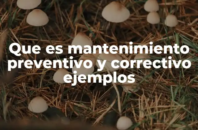 Que es Mantenimiento Preventivo y Correctivo Ejemplos