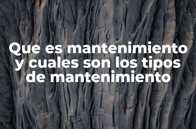 Que es Mantenimiento y Cuales Son los Tipos de Mantenimiento