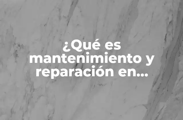 ¿qué es Mantenimiento y Reparación en Informática?