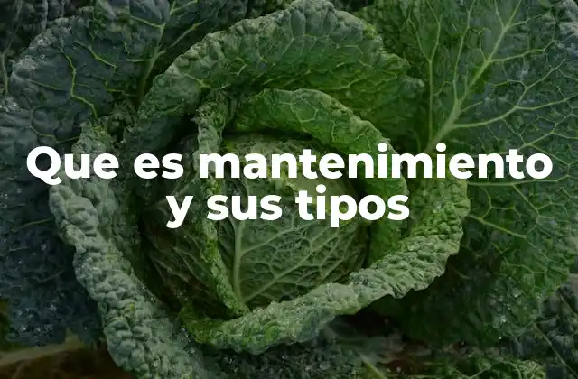 Que es Mantenimiento y Sus Tipos