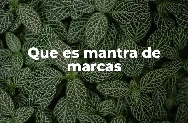 Que es Mantra de Marcas