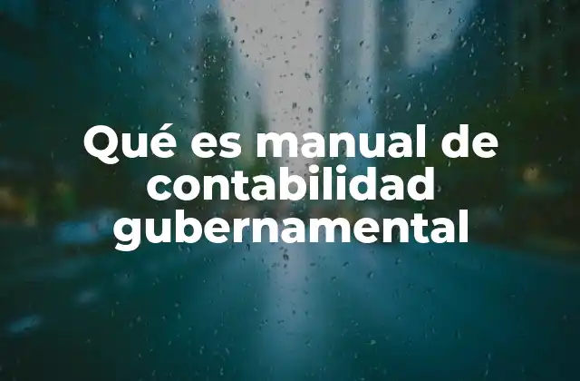 Qué es Manual de Contabilidad Gubernamental