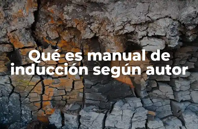 Qué es Manual de Inducción según Autor