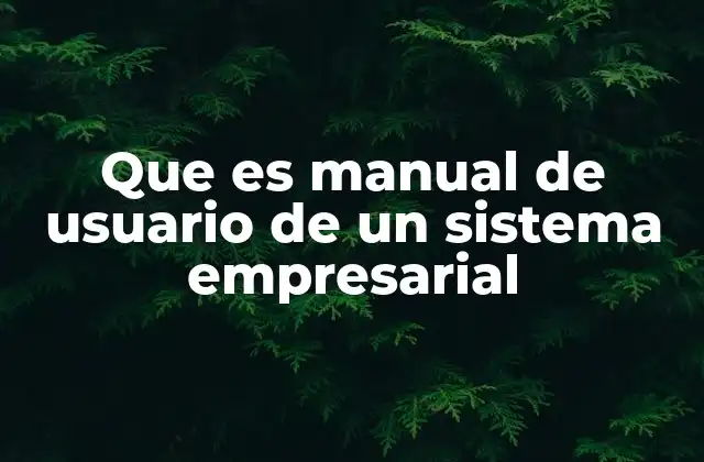 Que es Manual de Usuario de un Sistema Empresarial