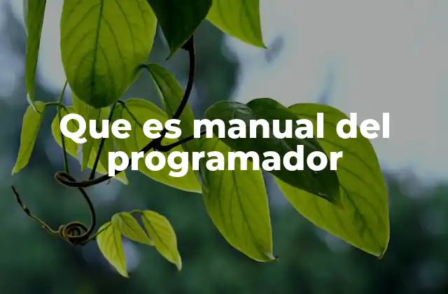 Que es Manual Del Programador
