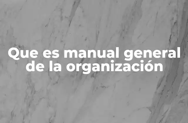 Que es Manual General de la Organización