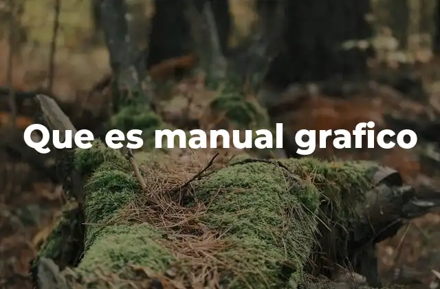 Que es Manual Grafico