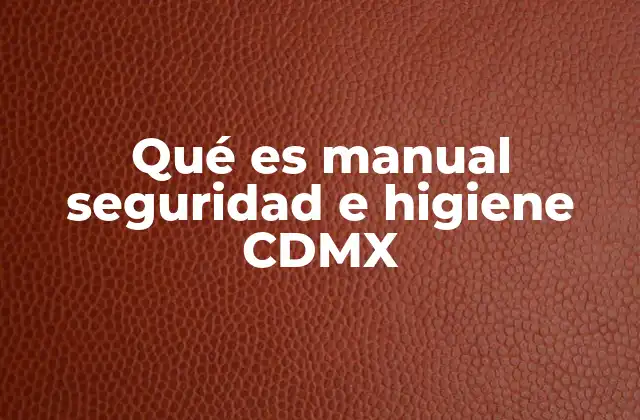 Qué es Manual Seguridad e Higiene Cdmx