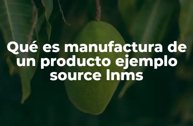 Qué es Manufactura de un Producto Ejemplo Source Lnms