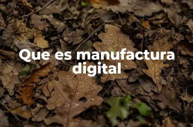 Que es Manufactura Digital