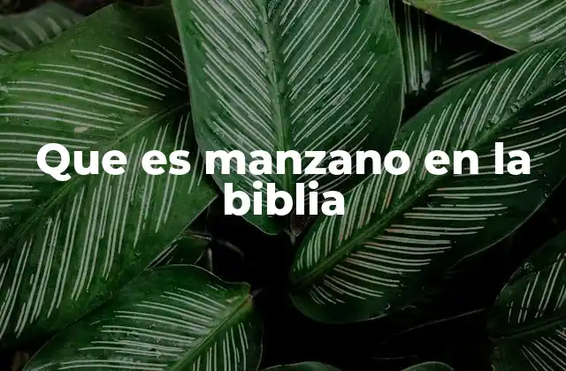 Que es Manzano en la Biblia 2 El manzano como símbolo en la literatura bíblica