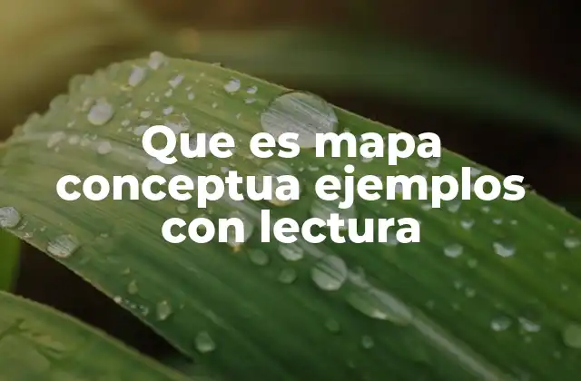 Que es Mapa Conceptua Ejemplos con Lectura