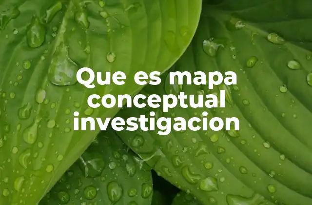Que es Mapa Conceptual Investigacion