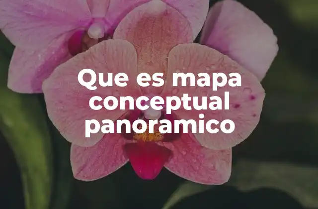 Cómo se diferencia de otros tipos de mapas