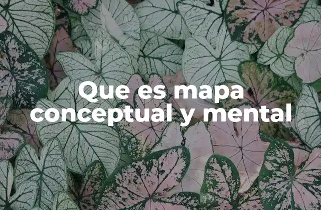 Que es Mapa Conceptual y Mental