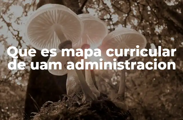 Que es Mapa Curricular de Uam Administracion