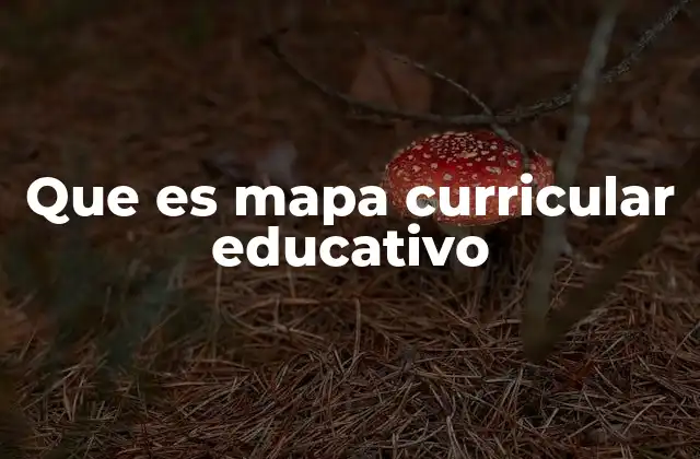 Que es Mapa Curricular Educativo