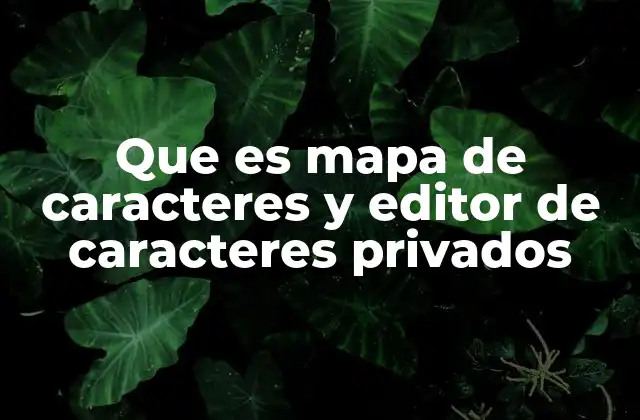 Que es Mapa de Caracteres y Editor de Caracteres Privados