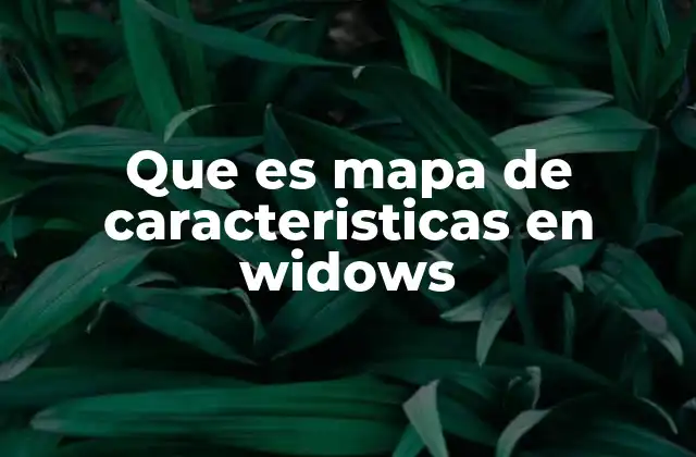Que es Mapa de Caracteristicas en Widows