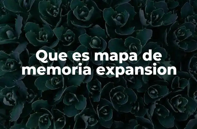 Que es Mapa de Memoria Expansion