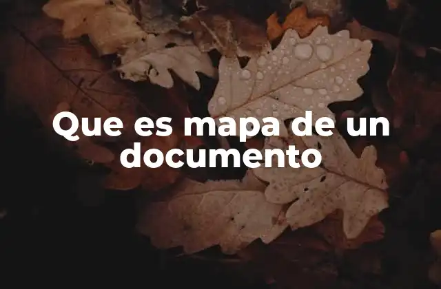 Que es Mapa de un Documento